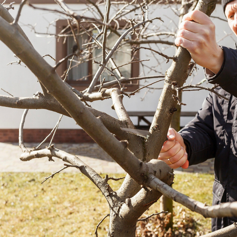 Ogrodowa piła ręczna składana 255 mm