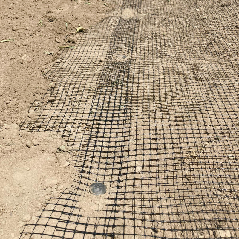 Siatka na krety 1x50m 25g/m 16x16 mm