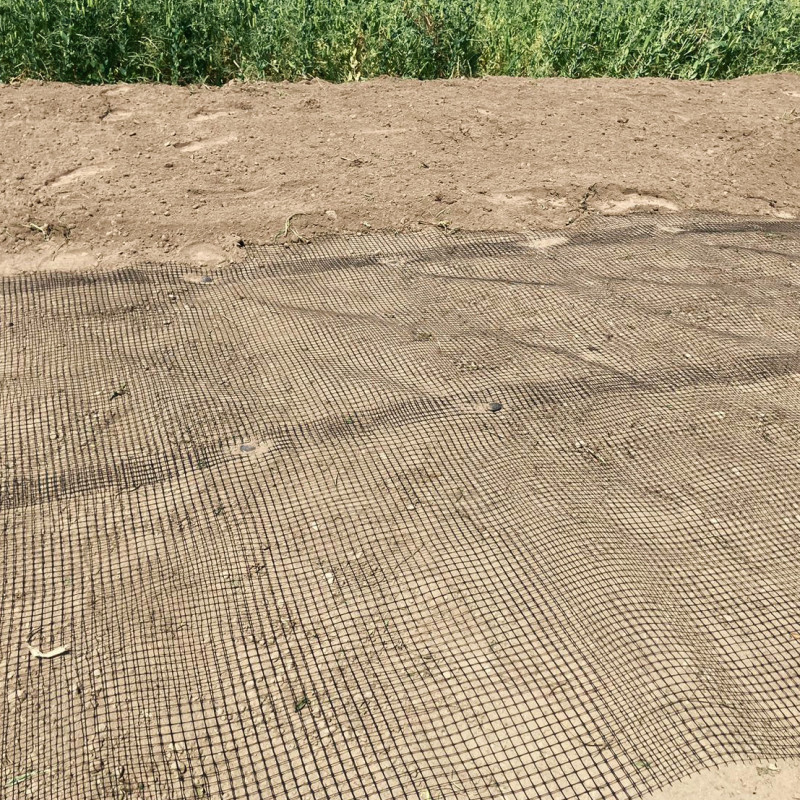 Siatka na krety 1x50m 25g/m 16x16 mm