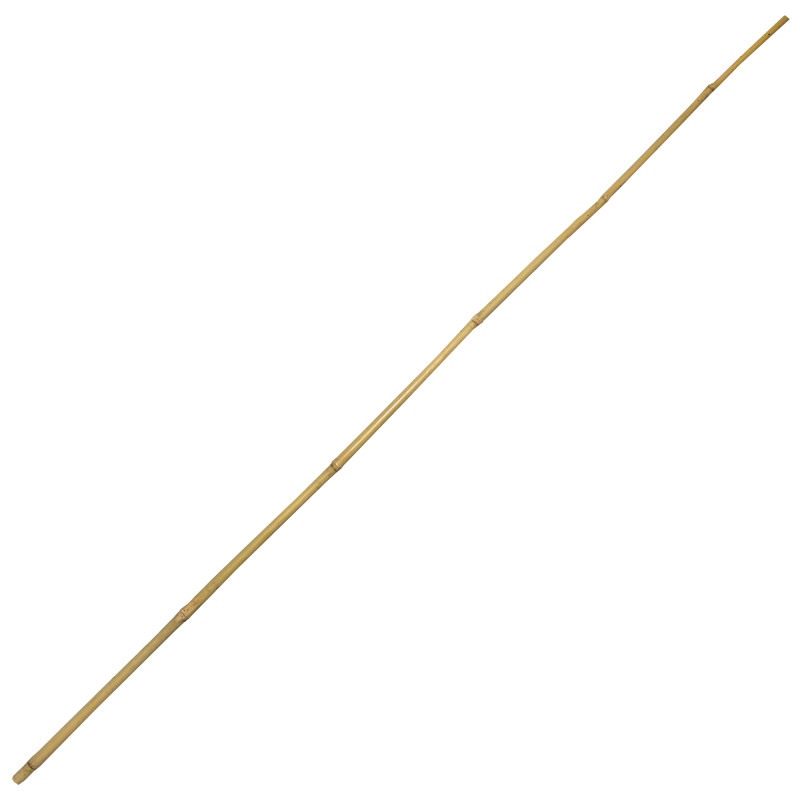 Tyczka bambusowa zestaw 25 szt. 12-14mm 150 cm podpora