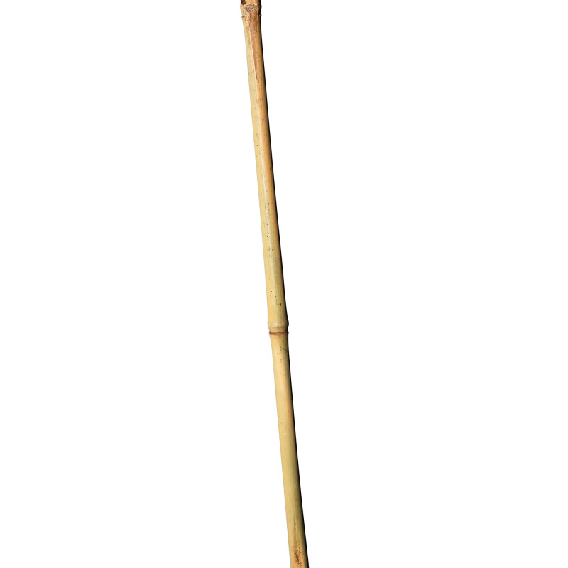 Tyczka bambusowa zestaw 25 szt. 10-12mm 150 cm podpora palik do roślin