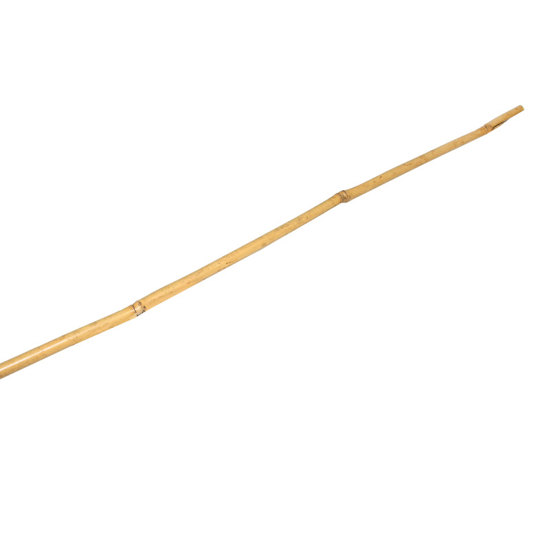 Tyczka bambusowa zestaw 50 szt. 12-14mm 120cm podpora