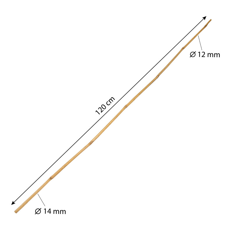 Tyczka bambusowa zestaw 50 szt. 12-14mm 120cm podpora
