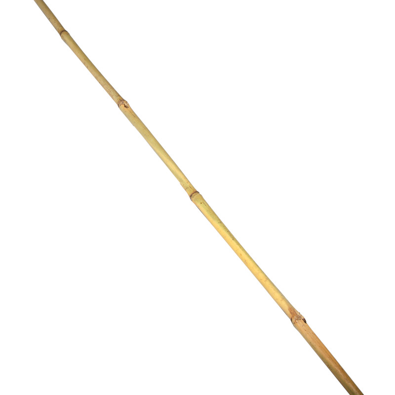 Tyczka bambusowa zestaw 50 szt. 10-12mm 120cm podpora