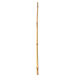 Tyczka bambusowa zestaw 50 szt. 10-12mm 120cm podpora