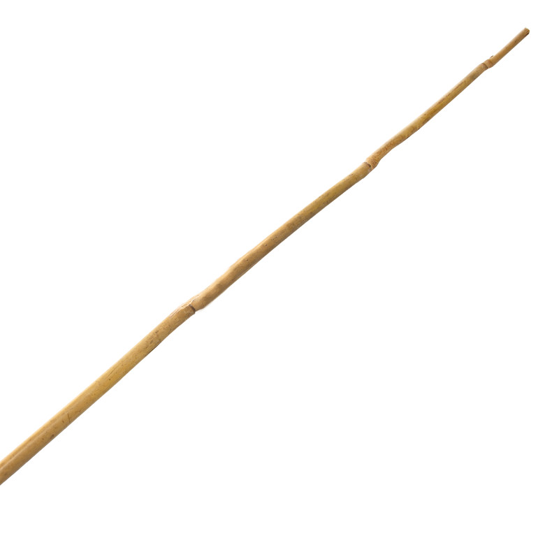 Tyczka bambusowa zestaw 50szt. 8-10mm 90cm podpora palik do roślin