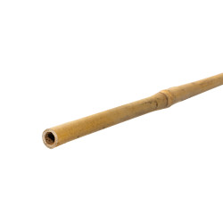 Tyczka bambusowa zestaw 50szt. 8-10mm 90cm podpora palik do roślin