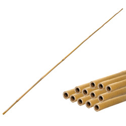 Tyczka bambusowa zestaw...
