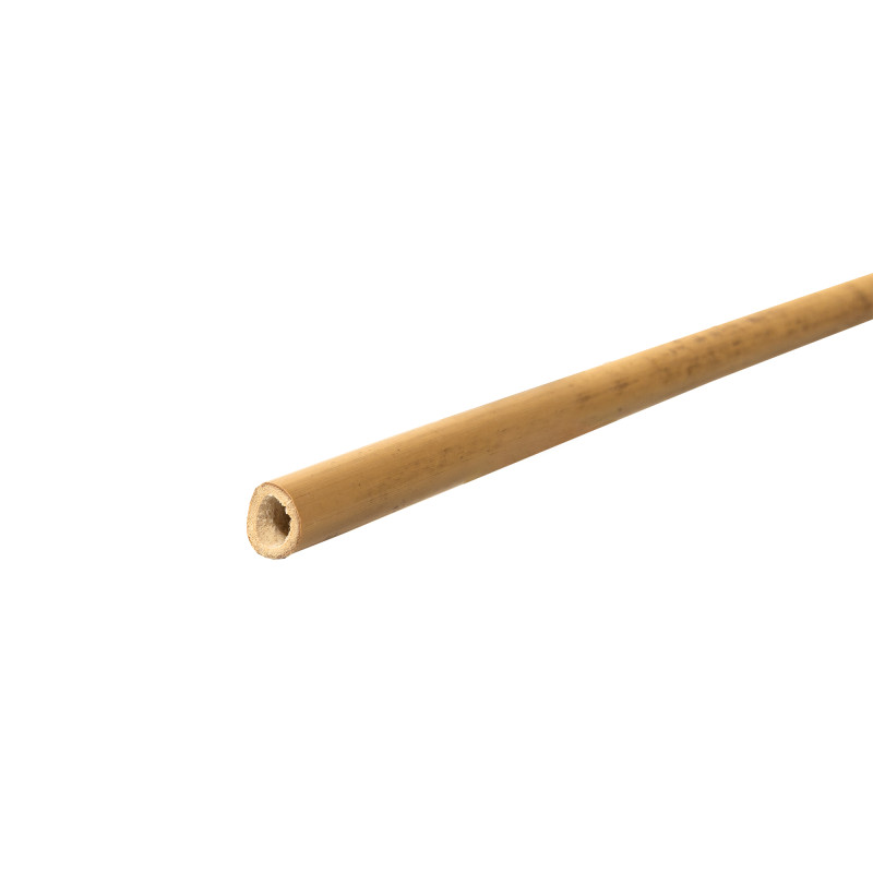 Tyczka bambusowa zestaw 50szt. 10-12mm 90cm podpora palik do roślin