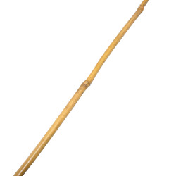 Tyczka bambusowa zestaw 50 szt. 10-12mm 105cm podpora palik do roślin