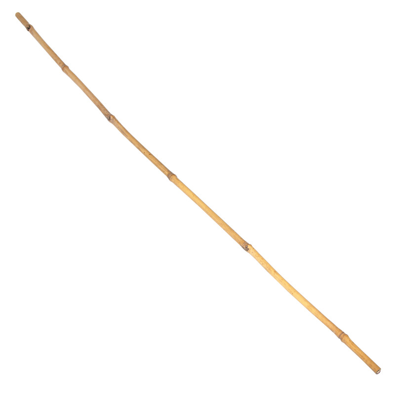 Tyczka bambusowa zestaw 50 szt. 10-12mm 105cm podpora palik do roślin