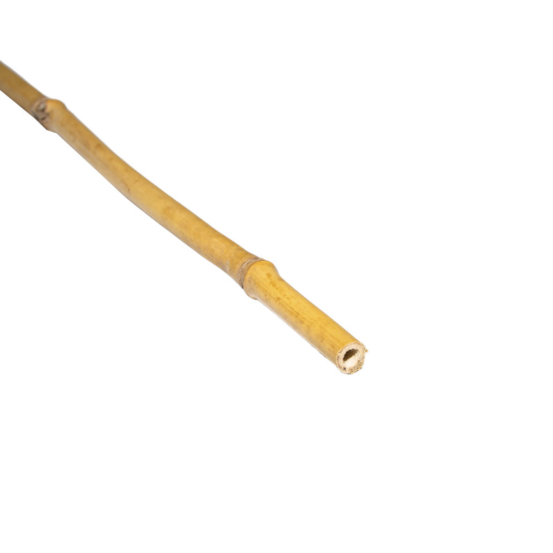 Tyczka bambusowa zestaw 50 szt. 10-12mm 105cm podpora palik do roślin