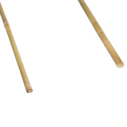 Łuk bambusowy podpora do roślin 45 cm 100 szt. bambus gięty