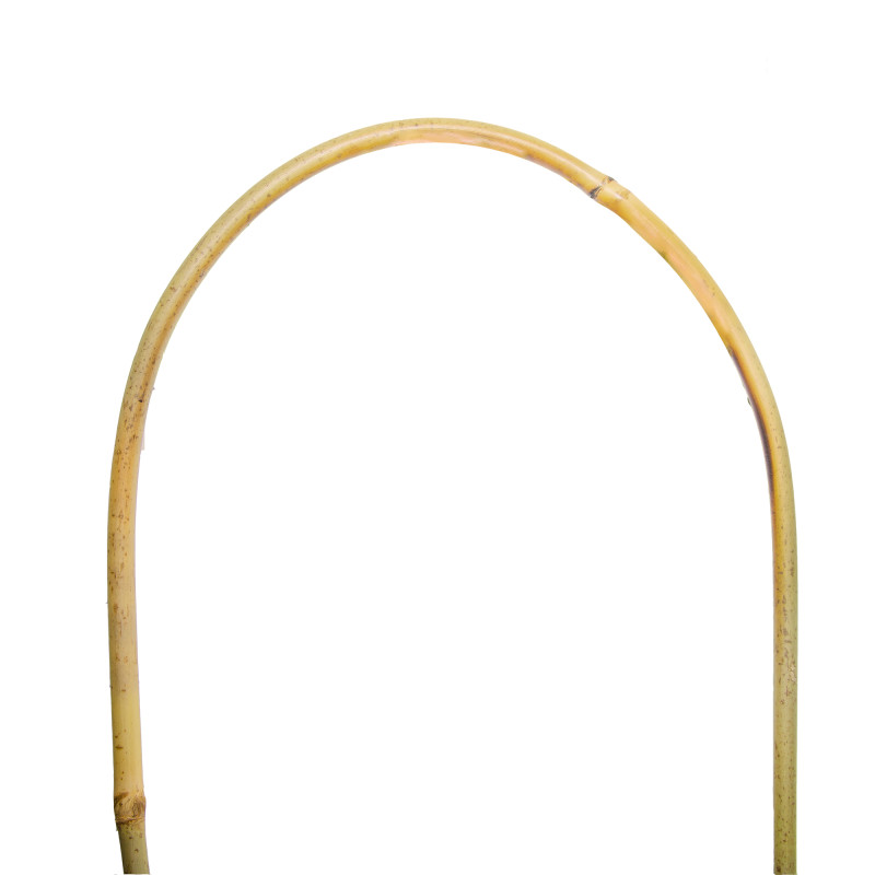 Łuk bambusowy podpora do roślin 60 cm 25 szt. bambus gięty