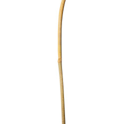 Łuk bambusowy podpora do roślin 60 cm 25 szt. bambus gięty
