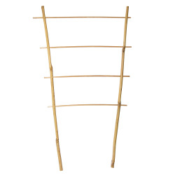 Drabinka bambusowa 45 cm podwójna podpora do roślin drabinka 50 szt. Zestaw