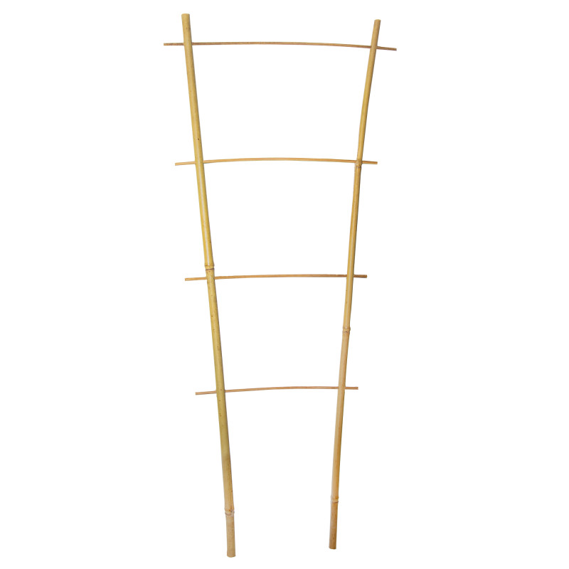 Drabinka bambusowa 60 cm podwójna podpora do roślin drabinka