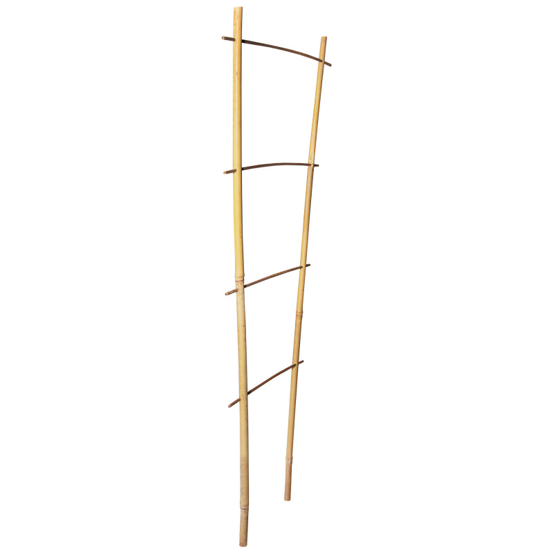 Drabinka bambusowa 60 cm podwójna podpora do roślin drabinka