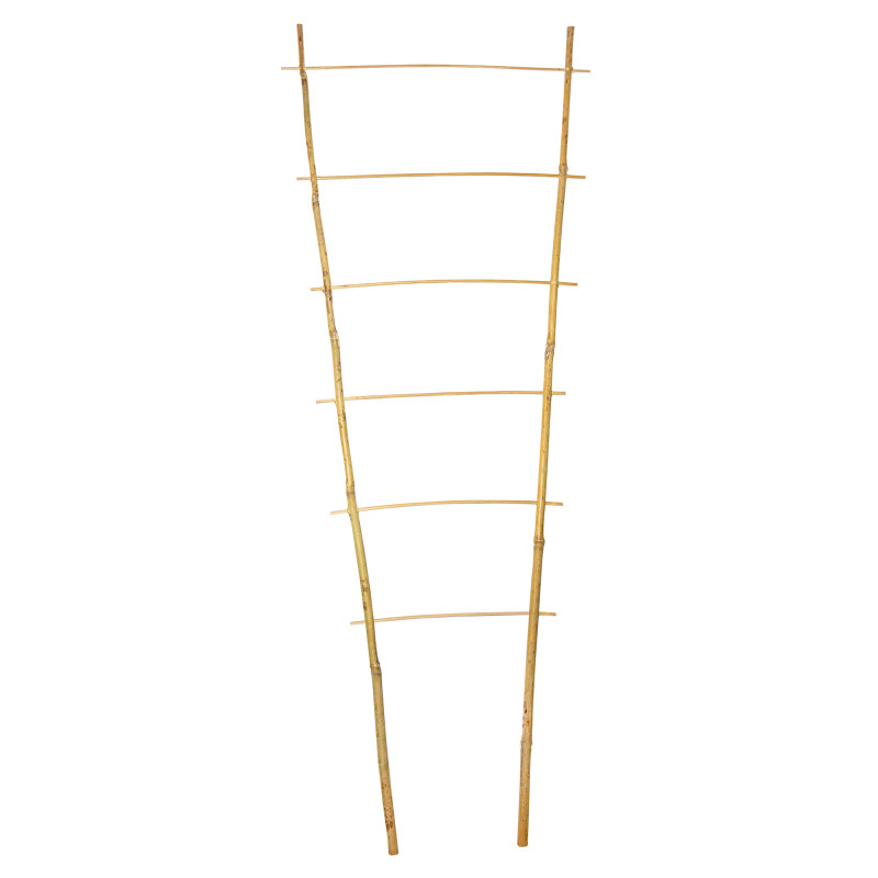 Drabinka bambusowa 90 cm podwójna podpora do roślin drabinka 50 szt. Zestaw