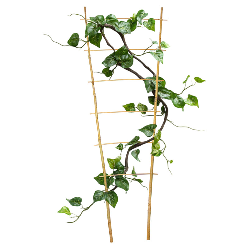 Drabinka bambusowa 90 cm podwójna podpora do roślin pergola drabinka