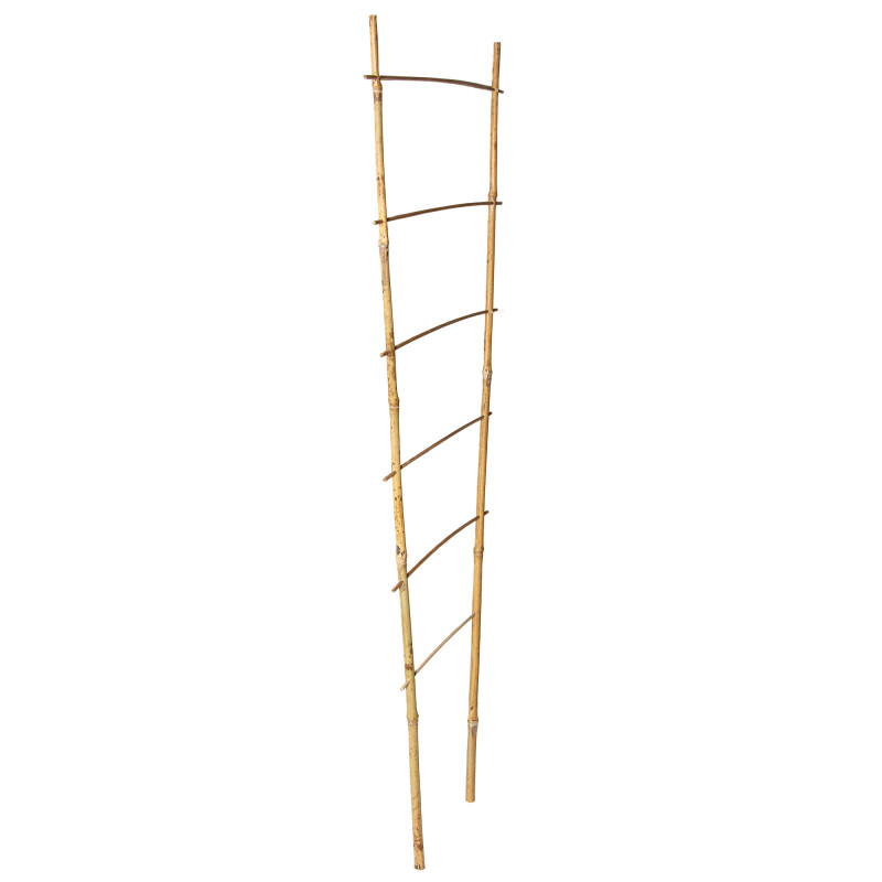 Drabinka bambusowa 90 cm podwójna podpora do roślin pergola drabinka