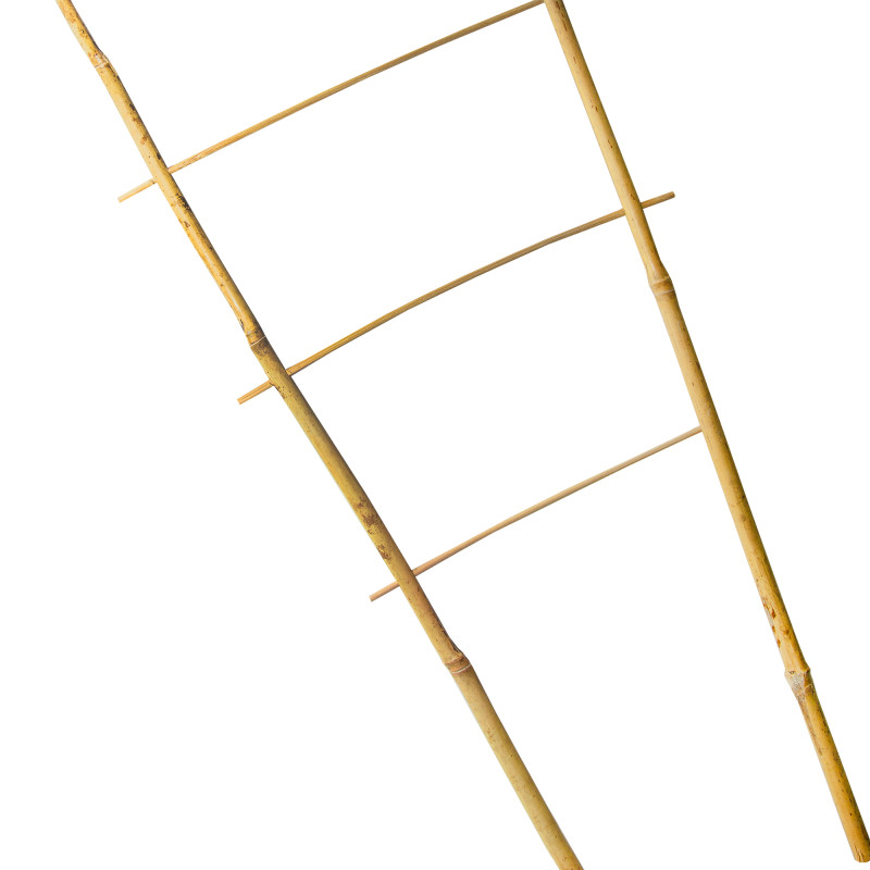 Drabinka bambusowa 90 cm podwójna podpora do roślin pergola drabinka