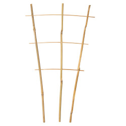 Drabinka bambusowa 45 cm potrójna podpora do roślin drabinka 50 szt. Zestaw