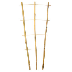 Drabinka bambusowa 60 cm potrójna podpora do roślin drabinka 50 szt. Zestaw