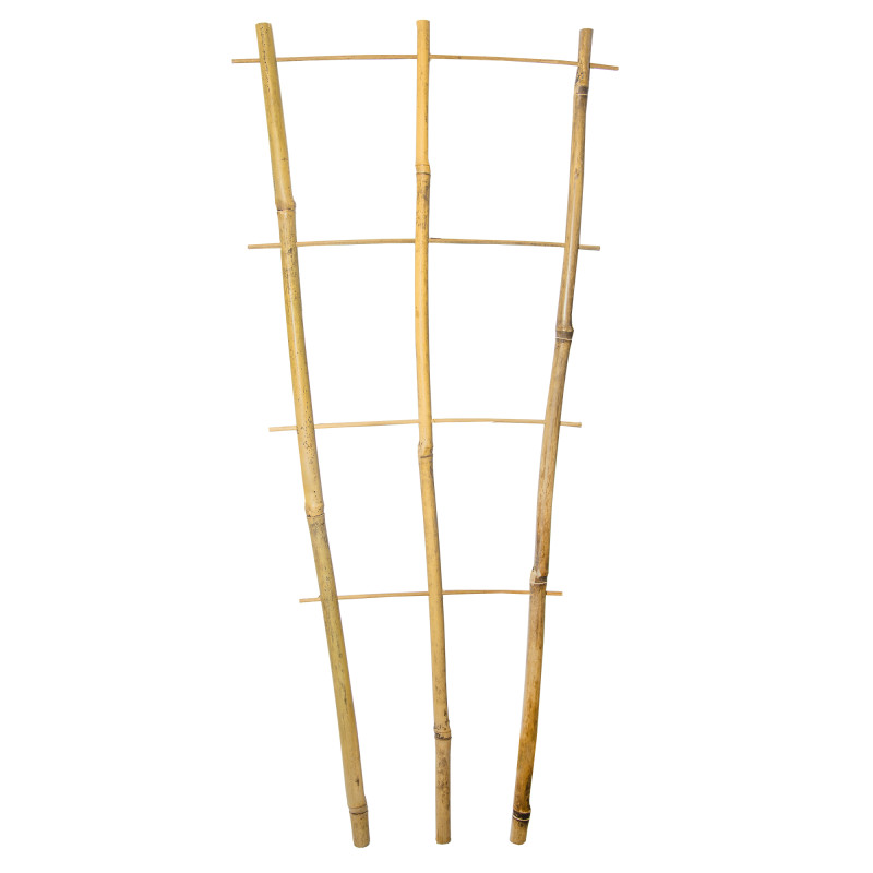 Drabinka bambusowa 60 cm potrójna podpora do roślin drabinka
