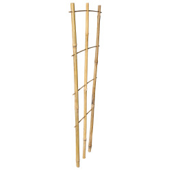 Drabinka bambusowa 60 cm potrójna podpora do roślin drabinka