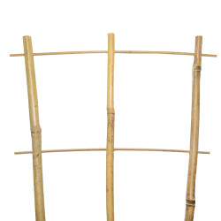 Drabinka bambusowa 60 cm potrójna podpora do roślin drabinka 50 szt. Zestaw