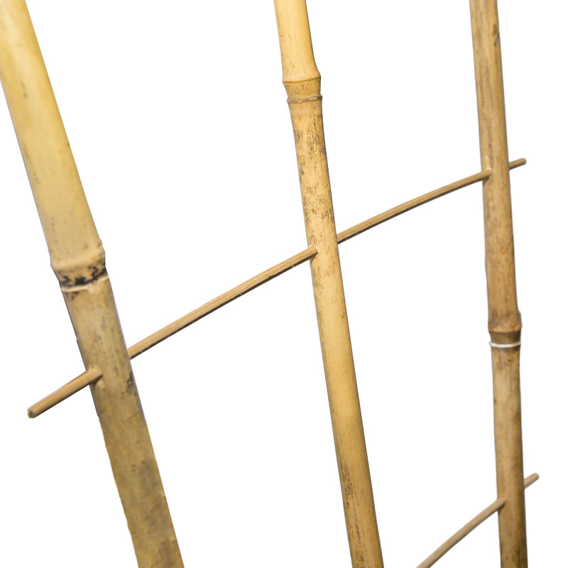 Drabinka bambusowa 60 cm potrójna podpora do roślin drabinka