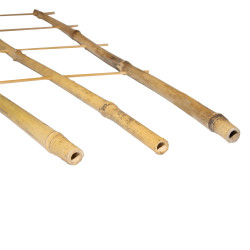 Drabinka bambusowa 60 cm potrójna podpora do roślin drabinka 50 szt. Zestaw