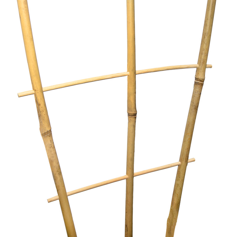 Drabinka bambusowa 120 cm potrójna podpora do roślin drabinka