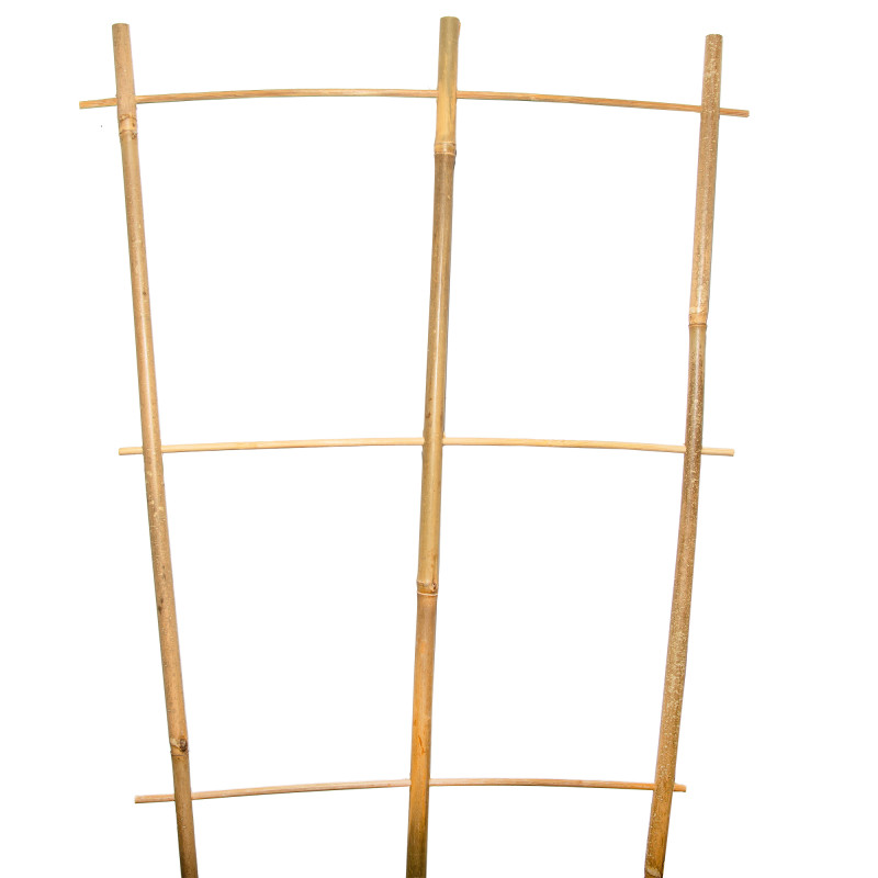 Drabinka bambusowa 150 cm potrójna podpora do roślin drabinka
