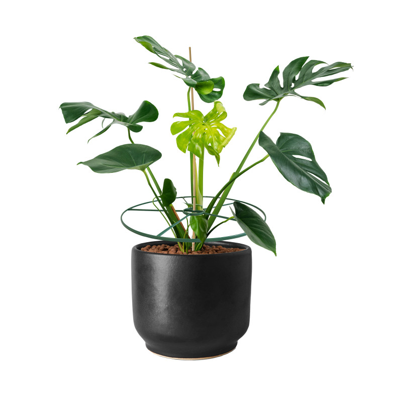 Zestaw Pierścieni do podpierania roślin 39cm zestaw 3szt.