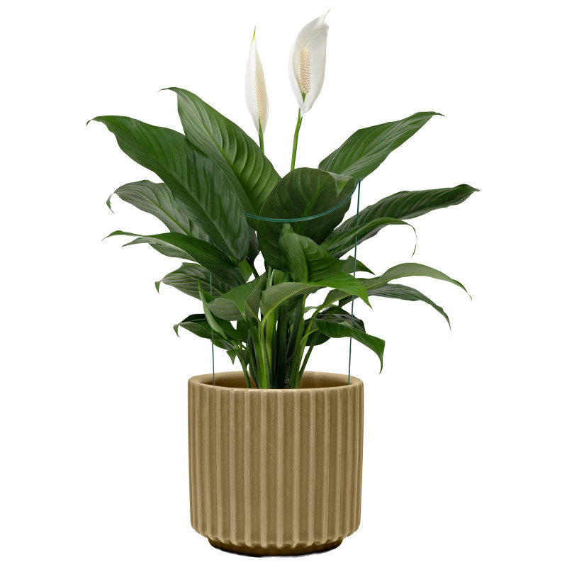 Metalowa podpora do roślin półkole 95 cm