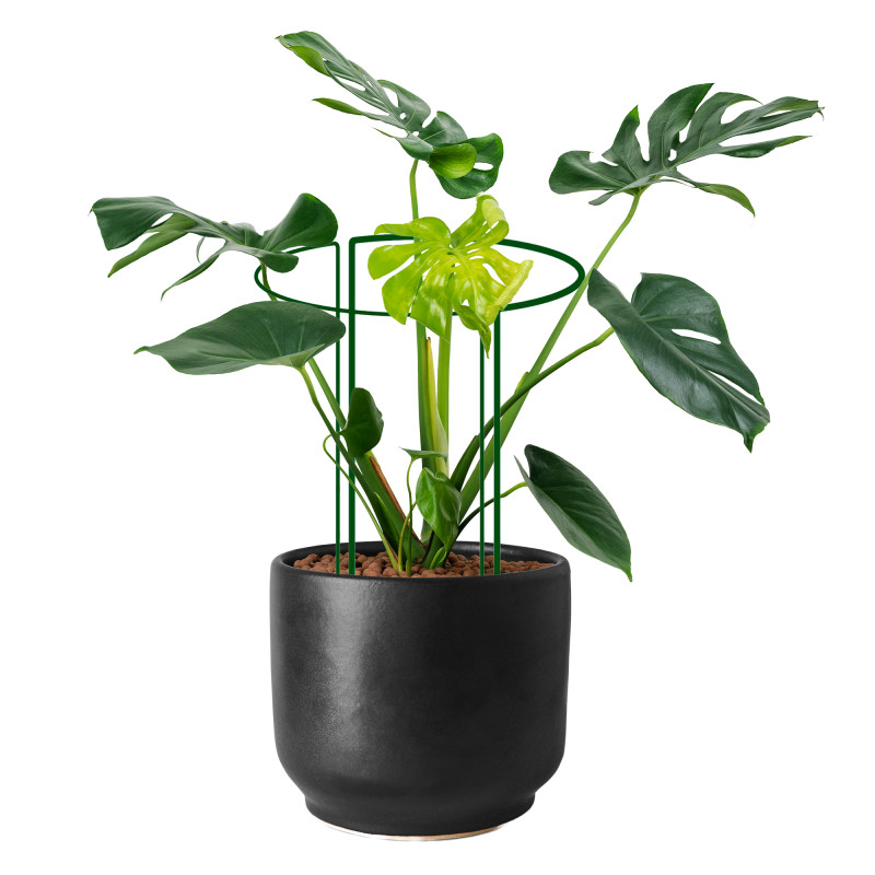 Metalowa podpora do roślin półkole 95 cm zestaw 2szt.