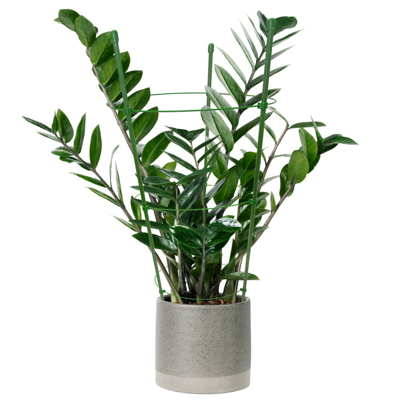 Podpora pierścieniowa do roślin okrągła 45 cm