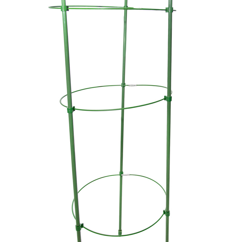 Podpora pierścieniowa do roślin okrągła 75 cm stal+PE 25 szt. Zestaw
