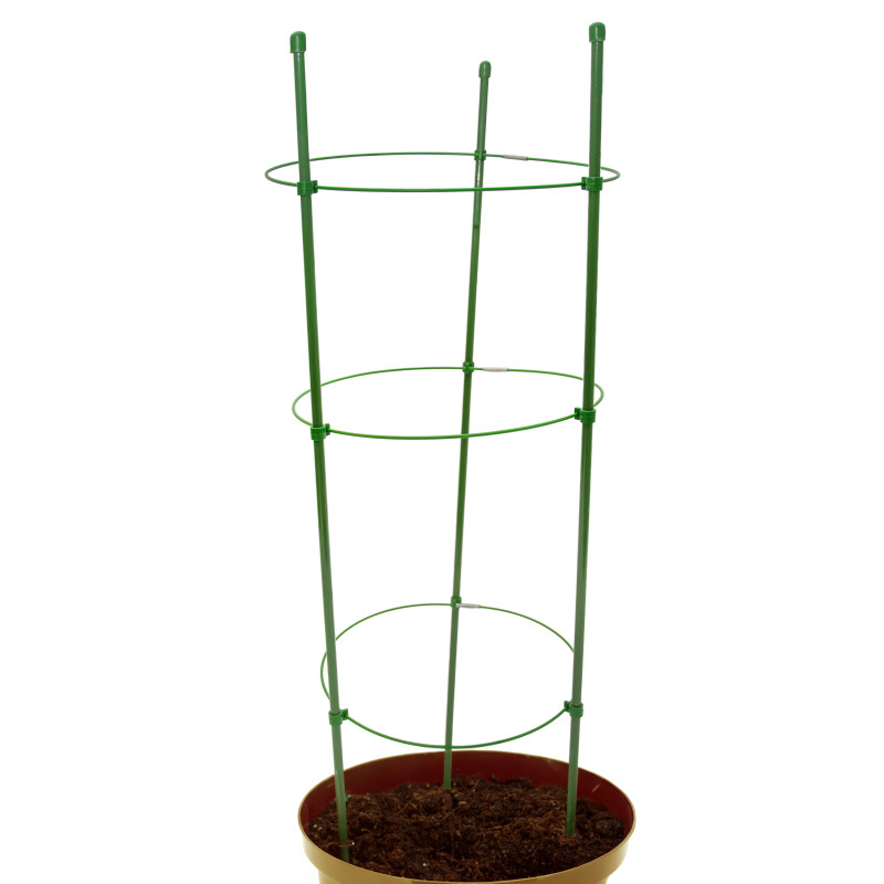 Podpora pierścieniowa do roślin okrągła 75 cm stal+PE 25 szt. Zestaw