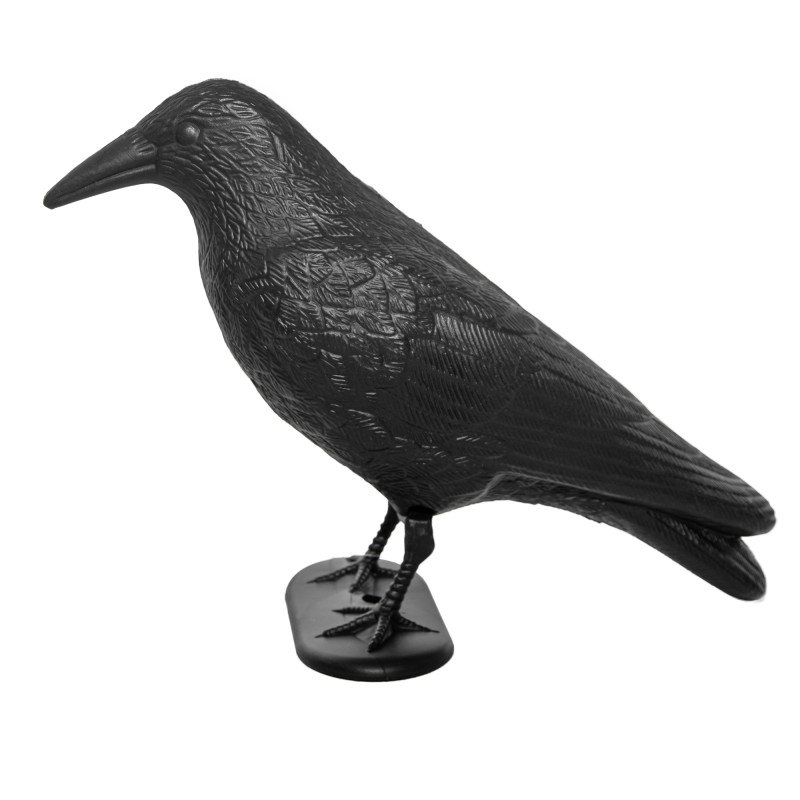 Duży Kruk Odstraszacz Ptaków Gołębi 38cm