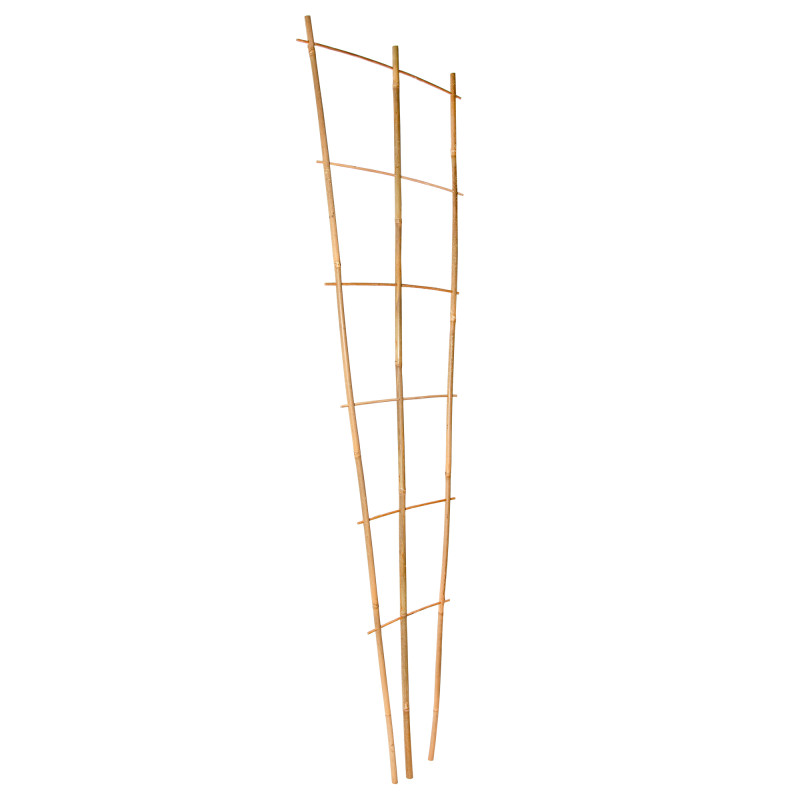 Drabinka bambusowa 150 cm potrójna podpora do roślin drabinka Zestaw 50 szt.