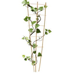 Drabinka bambusowa 150 cm potrójna podpora do roślin drabinka Zestaw 50 szt.