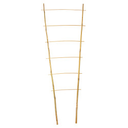 Drabinka bambusowa 90 cm podwójna podpora do roślin drabinka 50 szt. Zestaw