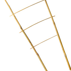 Drabinka bambusowa 90 cm podwójna podpora do roślin pergola drabinka