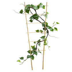Drabinka bambusowa 90 cm podwójna podpora do roślin drabinka 50 szt. Zestaw