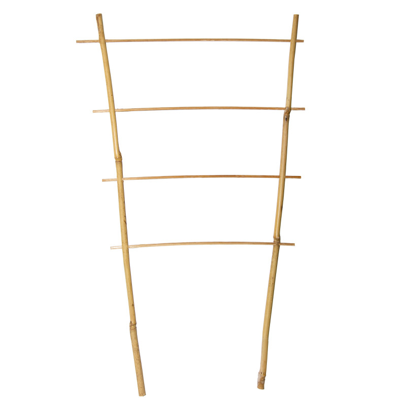 Drabinka bambusowa 45 cm podwójna podpora do roślin drabinka