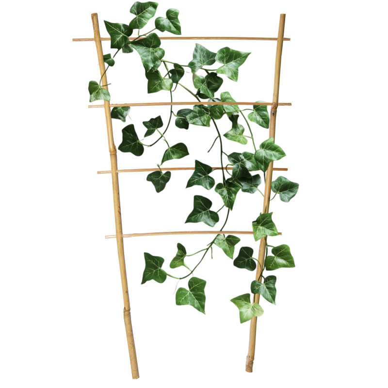Drabinka bambusowa 45 cm podwójna podpora do roślin drabinka