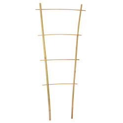 Drabinka bambusowa 60 cm podwójna podpora do roślin drabinka 50 szt. Zestaw